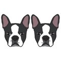 Signmission Boston Terrier Dog Decal, Dog Lover Decor Vinyl Sticker D-24-Boston Terrier